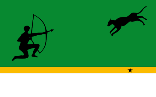bandera departamento de amazonas
