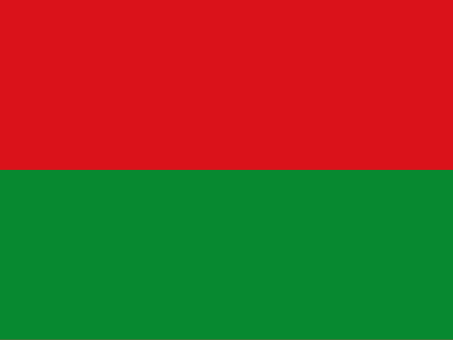 bandera departamento de arauca