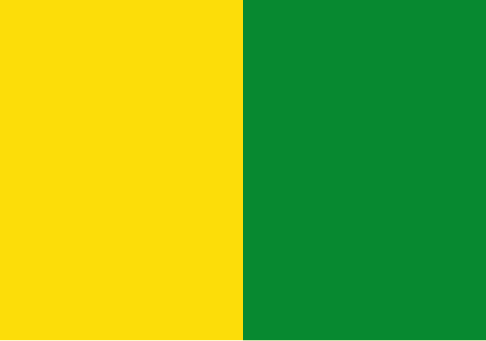 bandera departamento de caldas