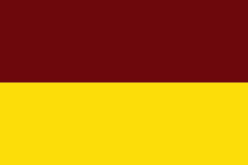 Bandera Departamento de Tolima