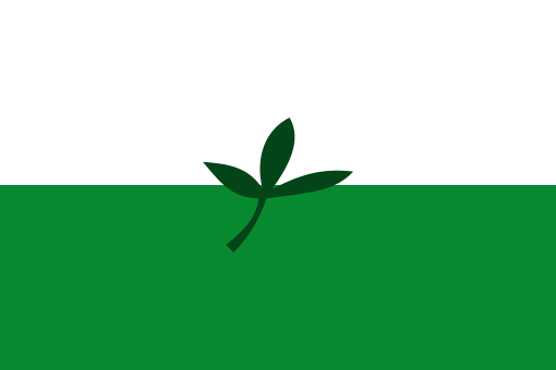 bandera departamento de vaupes
