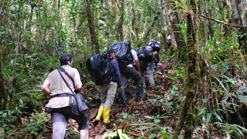 expediciones amazonas